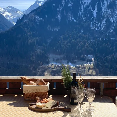Cozy Mountain Retreat Chalet